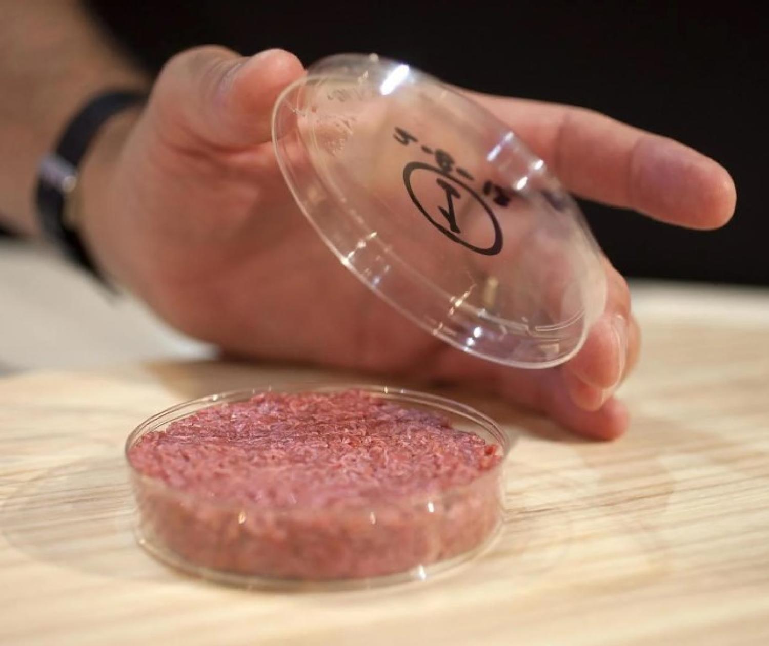 meat growing in a lab dish