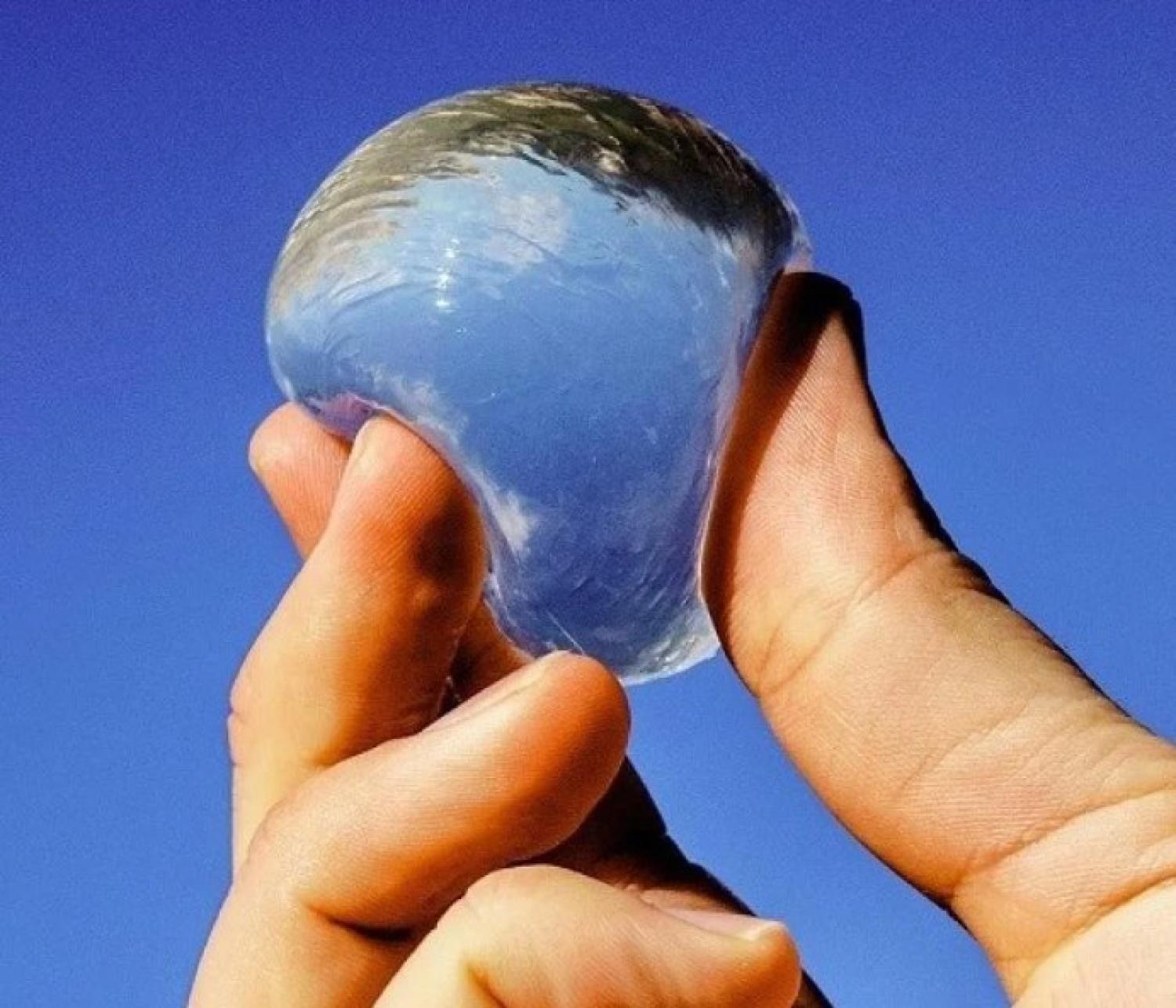 person holding gelatin like ball