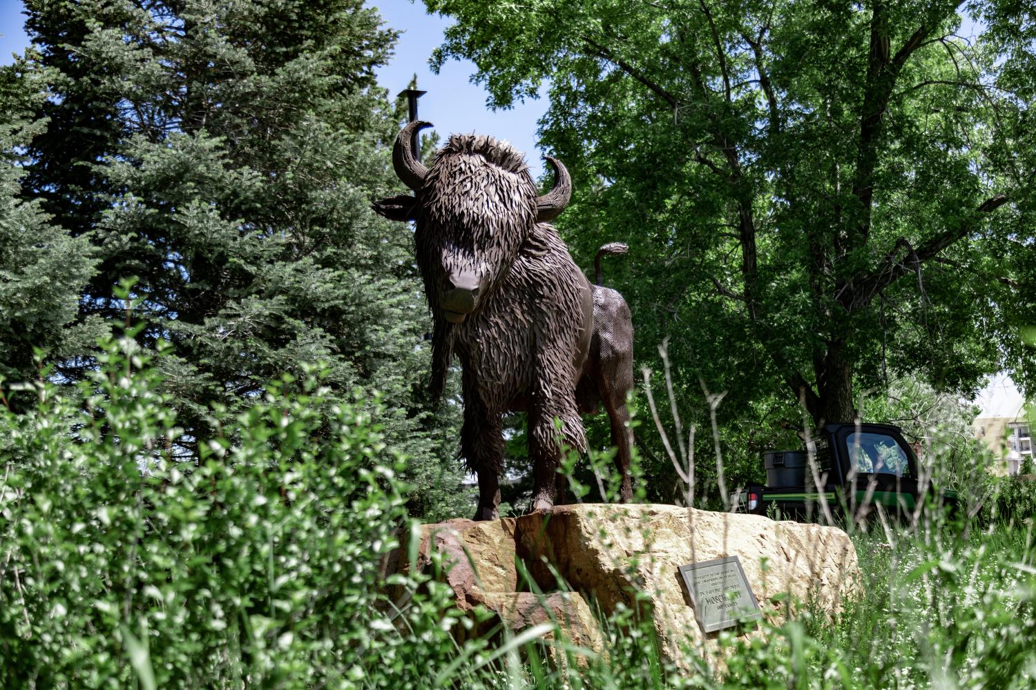 Buffalo statue