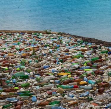plastic bottles on a beach