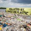 activists on a polluted beach