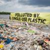 activists on a polluted beach