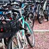 bikes on campus