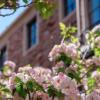 campus building with flowers