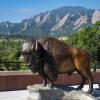 Ralphie statue outside CASE