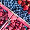 fruit basket