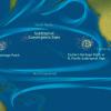 great Pacific garbage patch