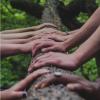 hands touching a tree trunk