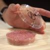 meat growing in a lab dish