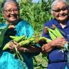 women carrying corn