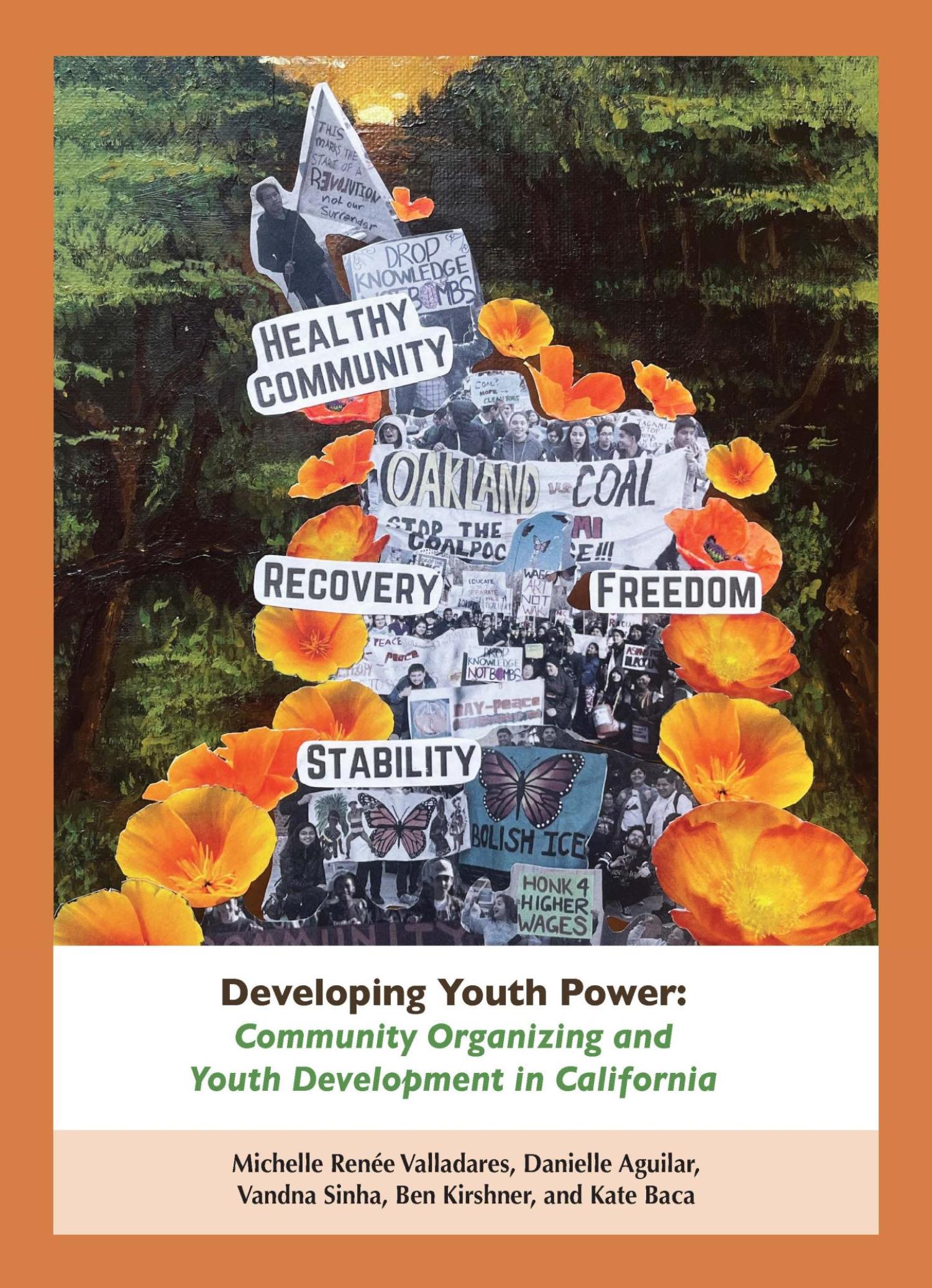 Developing Youth Power Cover Page