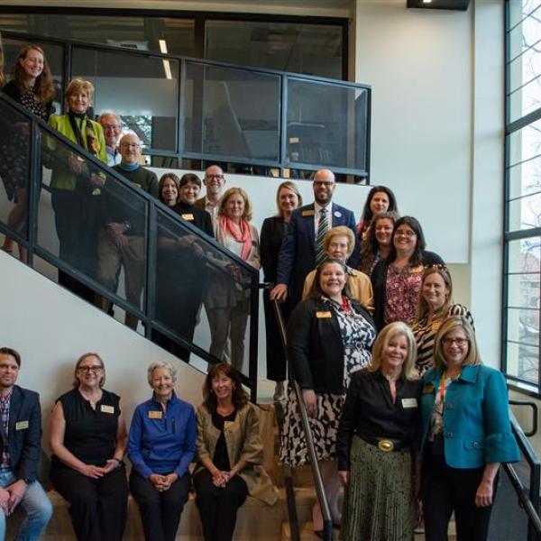 SOE advisory council