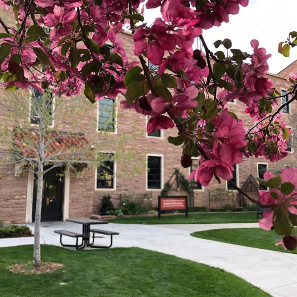 spring courtyard