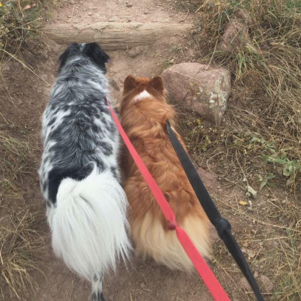Waldo and Luna