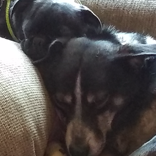Abby and Ash