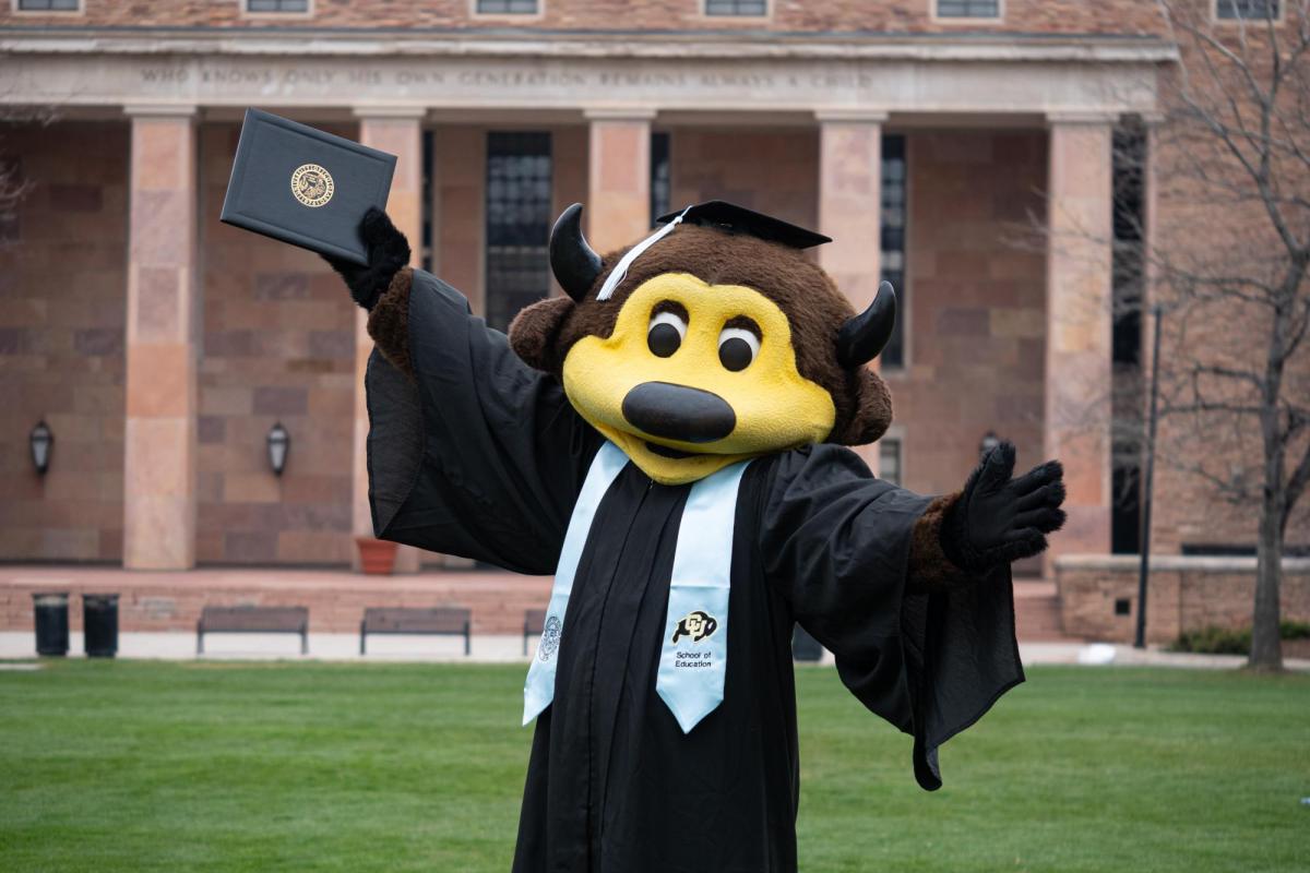 Chip with Education Stole