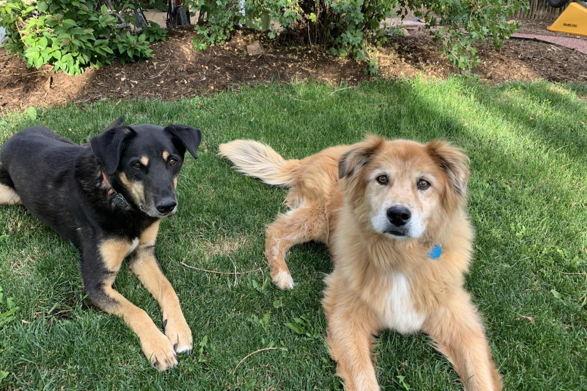 Monty and Cali