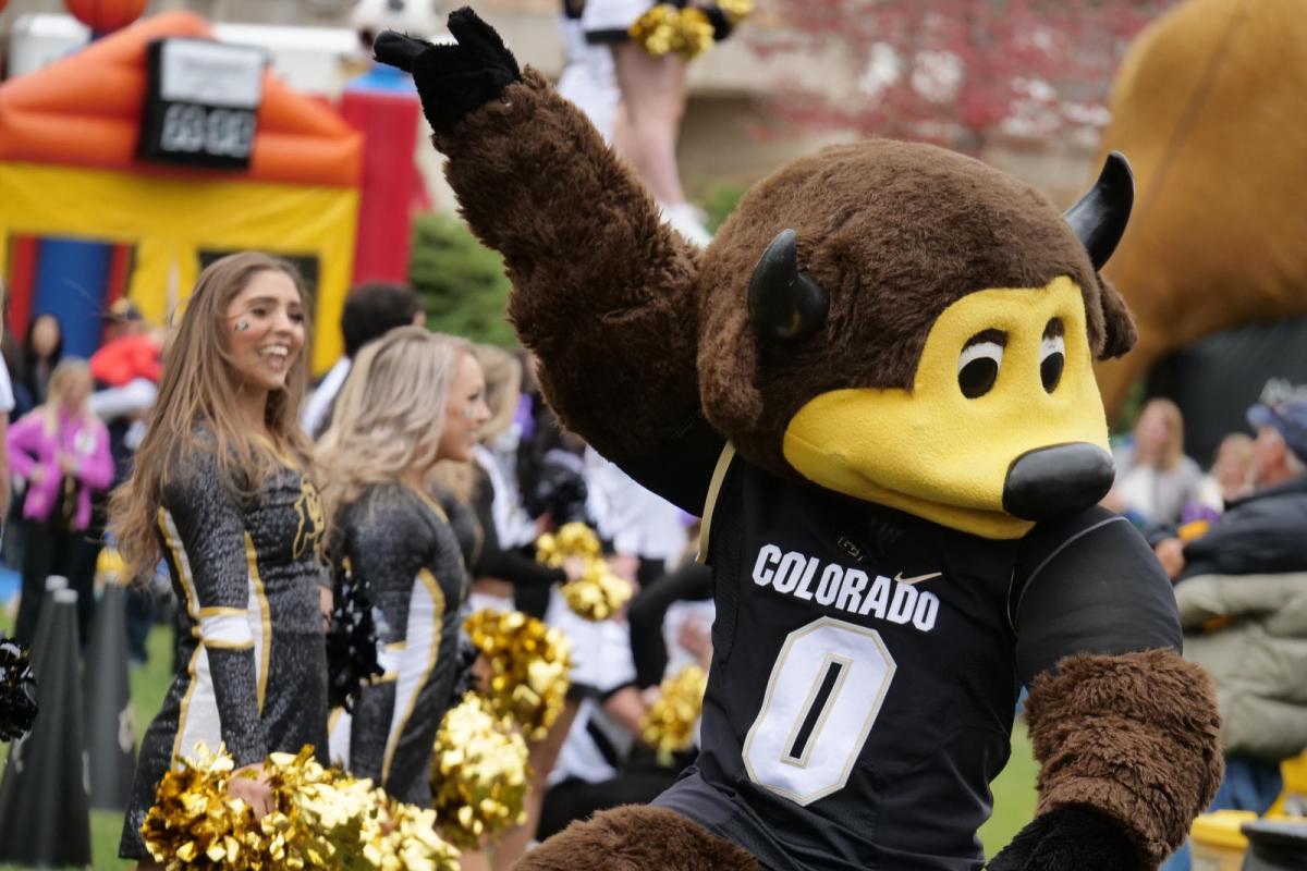 Chip and the Pom Squad entertain tailgaters during Homecoming Weekend at the University of Colorado Boulder. (Photo by Casey A. Cass/University of Colorado)