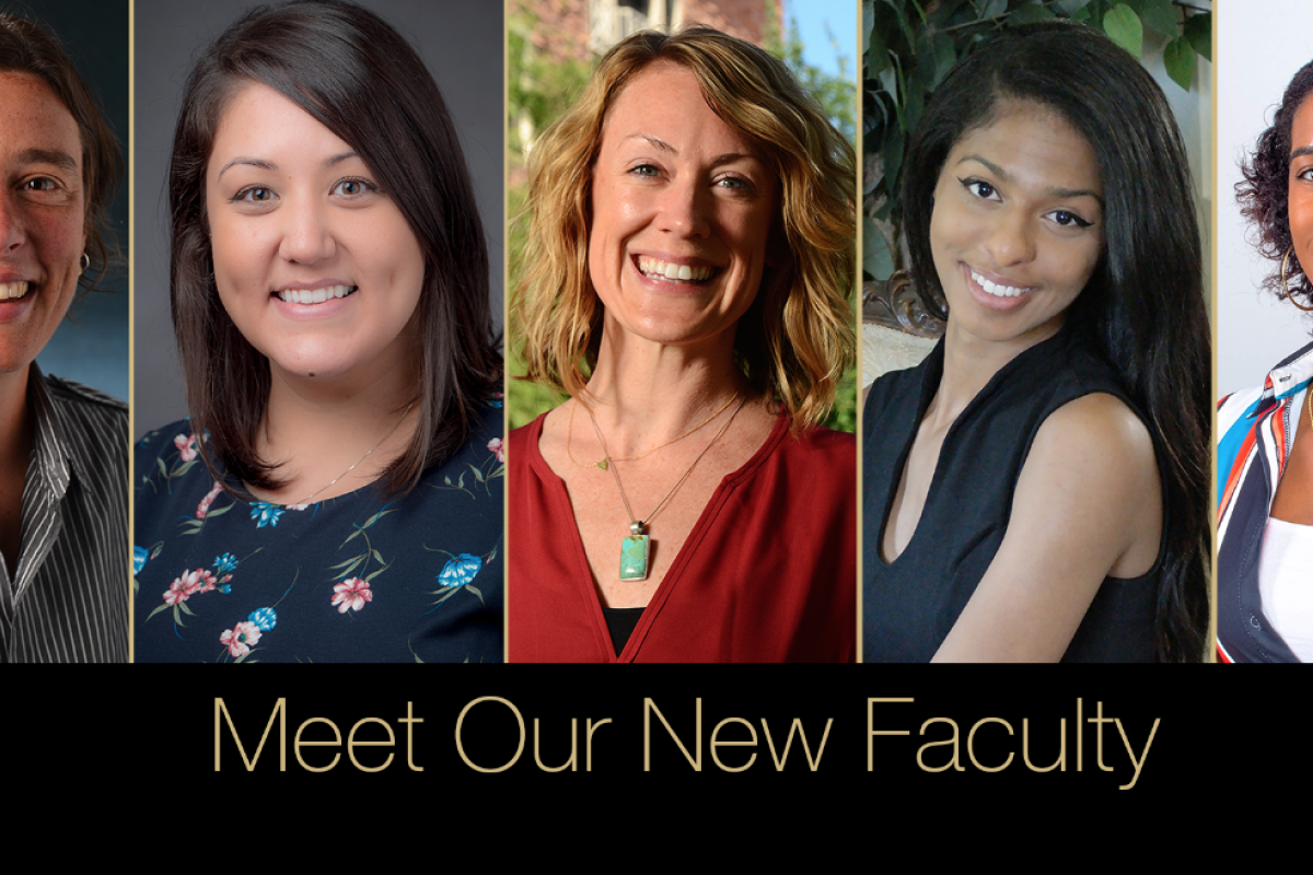 Meet our faculty