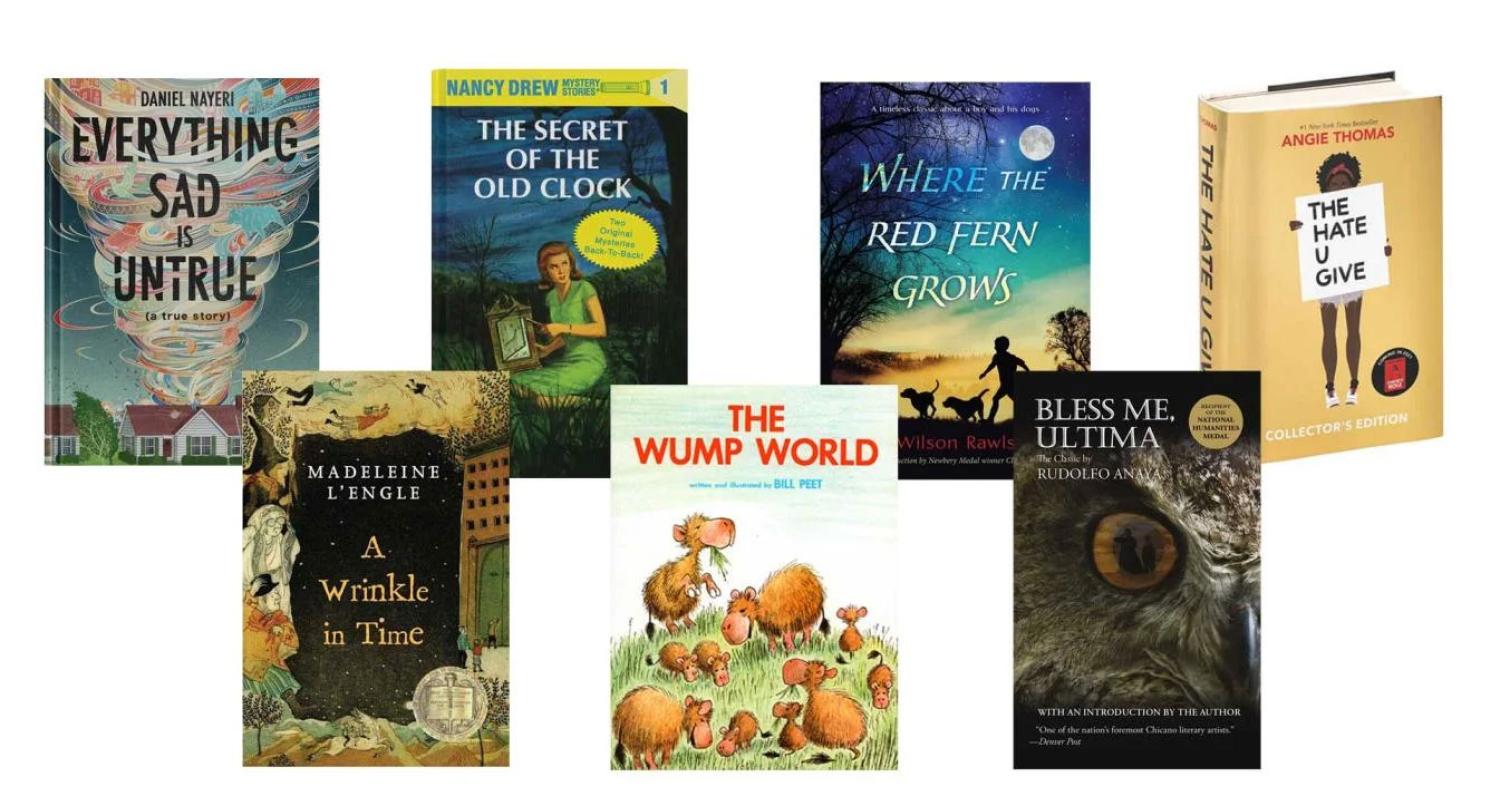 Image of "Voices from the Classroom" article banner, showing the bookcovers of the books featured in the article.