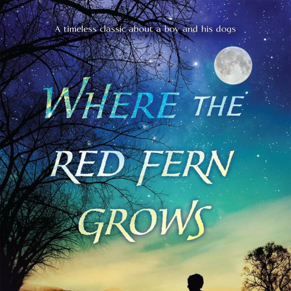 Image of the Book Cover illustration for "Where the Red Fern Grows"