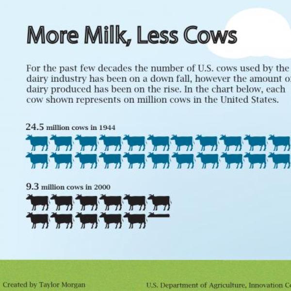 Over the past 50 years, the number of diary cows in the US has plummeted dramatically. How does that affect milk production. Taylor Morgan has the surprising answer.