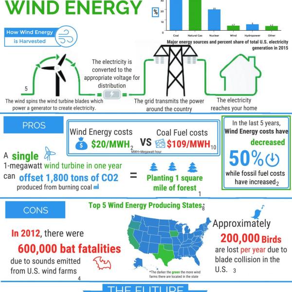 In this infographic, Elena Rivera investigates the pros, cons and future of wind energy.