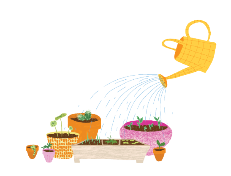 Image of a watering can with water running out of its spout and onto a planter box of sprouting greens. Other various planter pots are featured with sprouted plants.