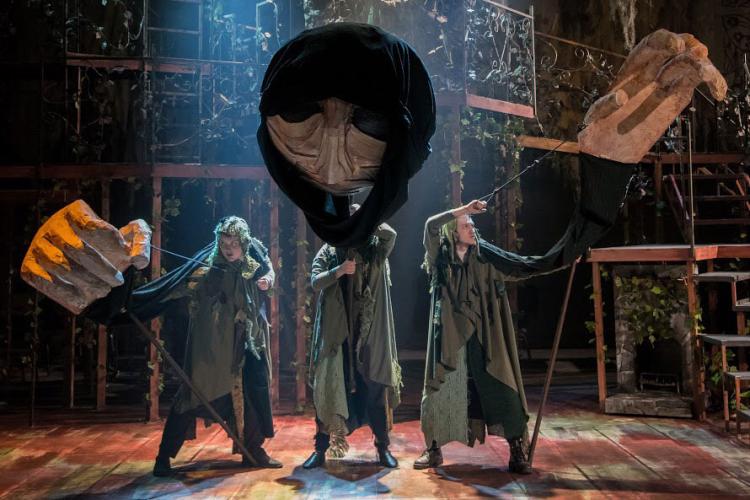 Matthew Parone in Into the Woods