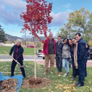 In the Fall of 2022, we planted a Flashfire Maple tree on campus in Lorrie Shepard's honor.