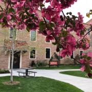 spring courtyard