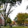 Havard campus Creative Commons