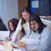 Public Achievement ethnic studies course