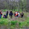 Marin field studies