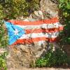 Puerto Rico flag