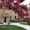 spring courtyard