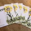Voices covers