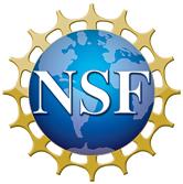 NSF Logo of world with people holding hands circling it.