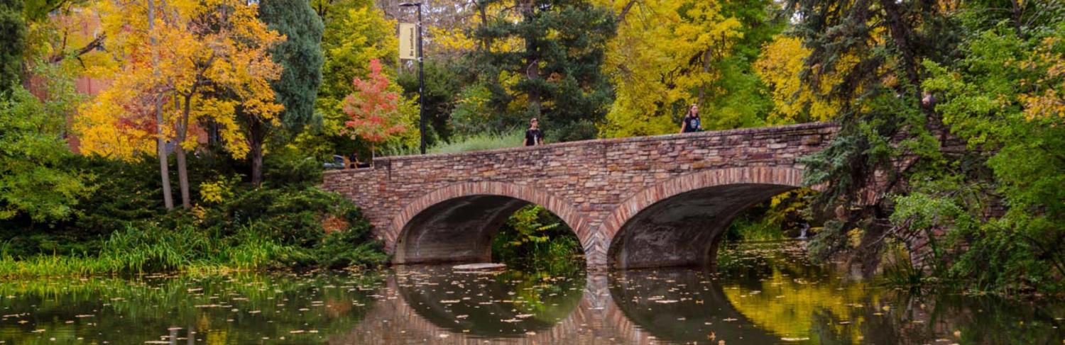 Students walking over varsity pond on the bridge