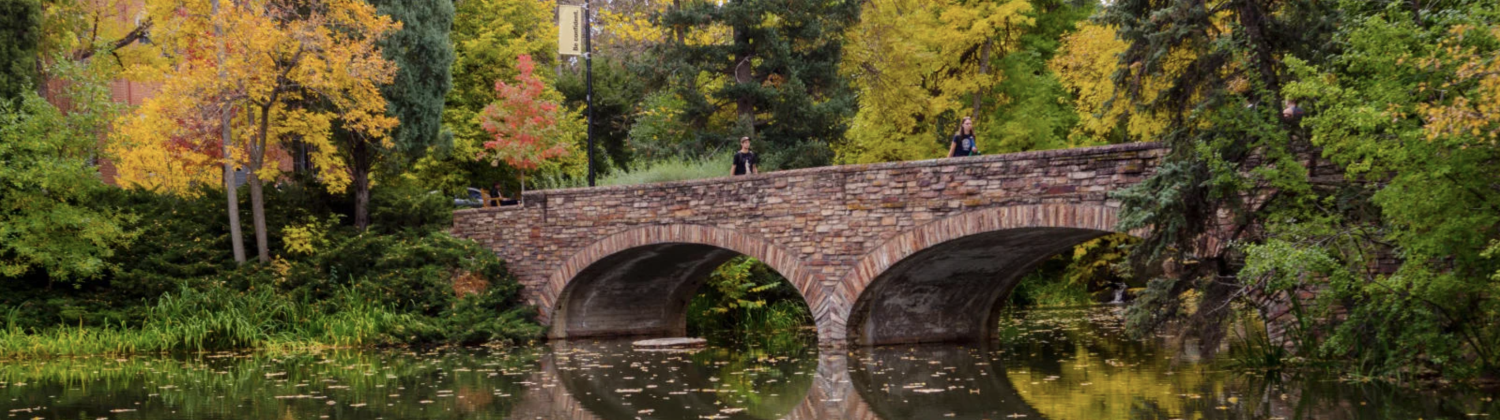 Varsity Pond during the fall
