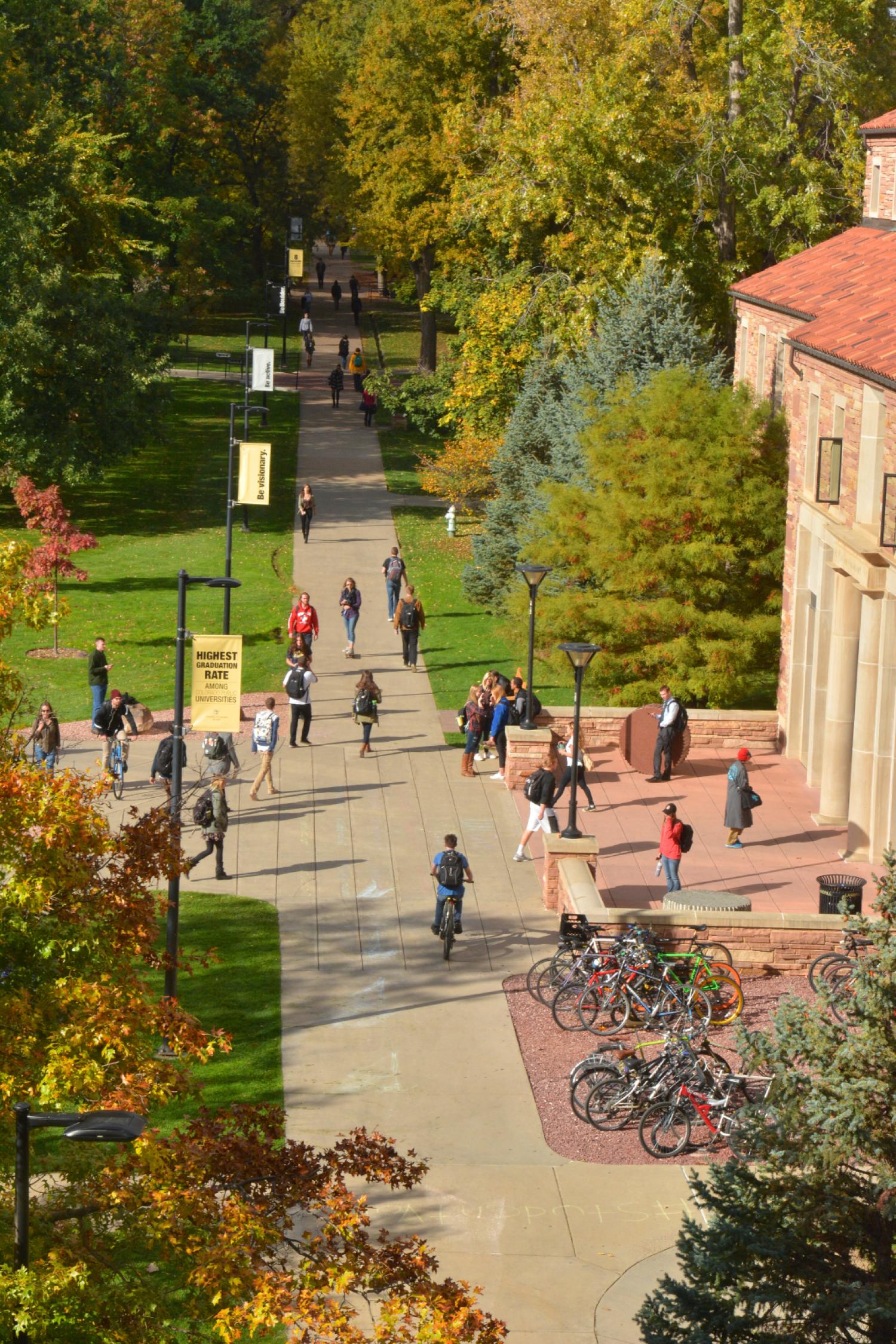 quad in the fall