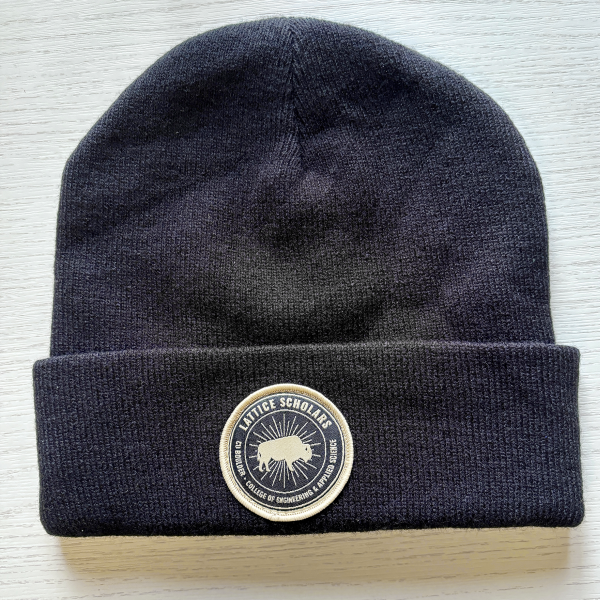 Lattice Scholars Polyester Cotton Beanie