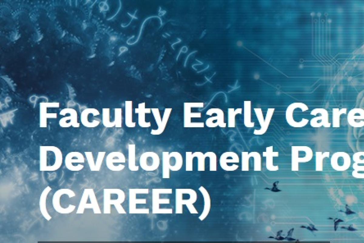 the words Faculty Early Career Development Program (CAREER)