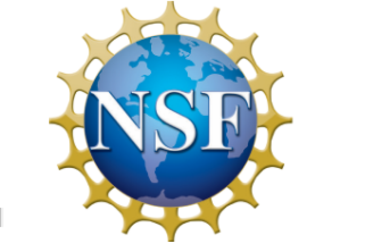 NSF Logo