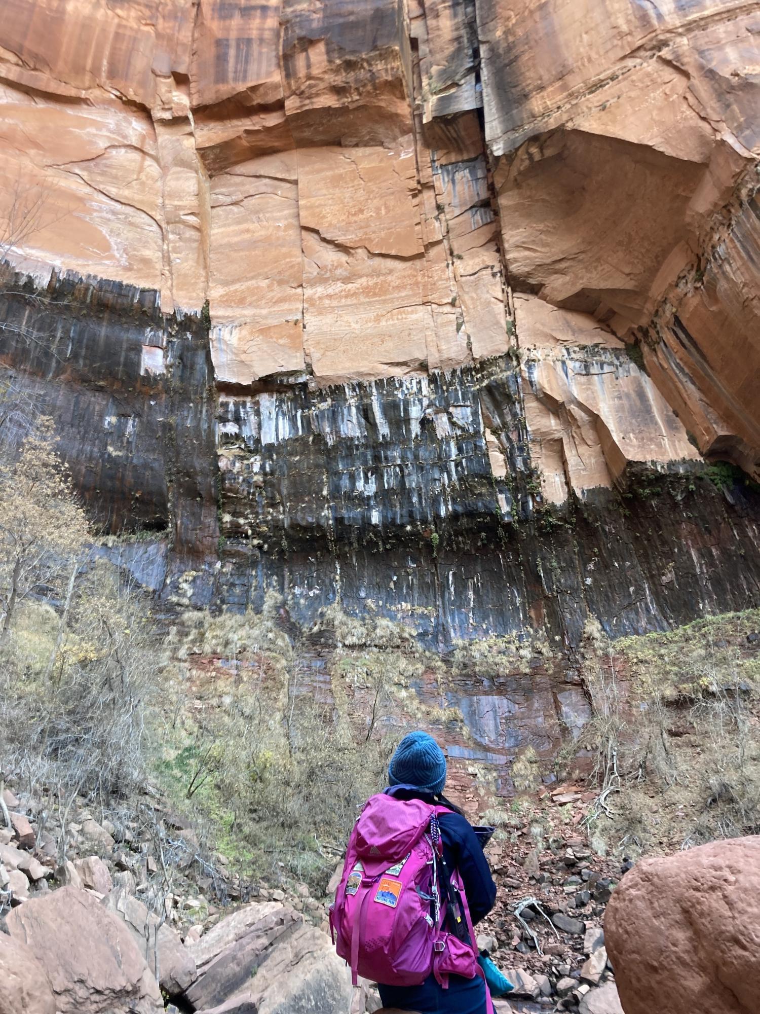 Tomoko looking up at a rock formation during a hike