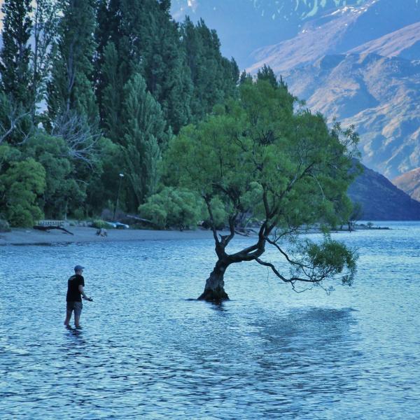 Spencer Miller at Wanaka Tree, New Zealand