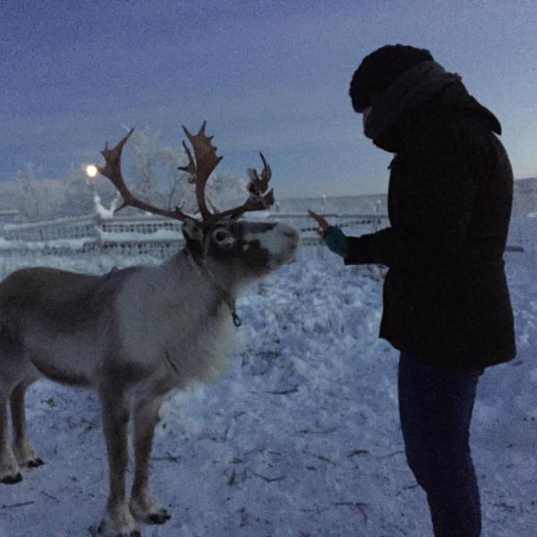 Tatiana Jones with a reindeer in Abisko, Sweden