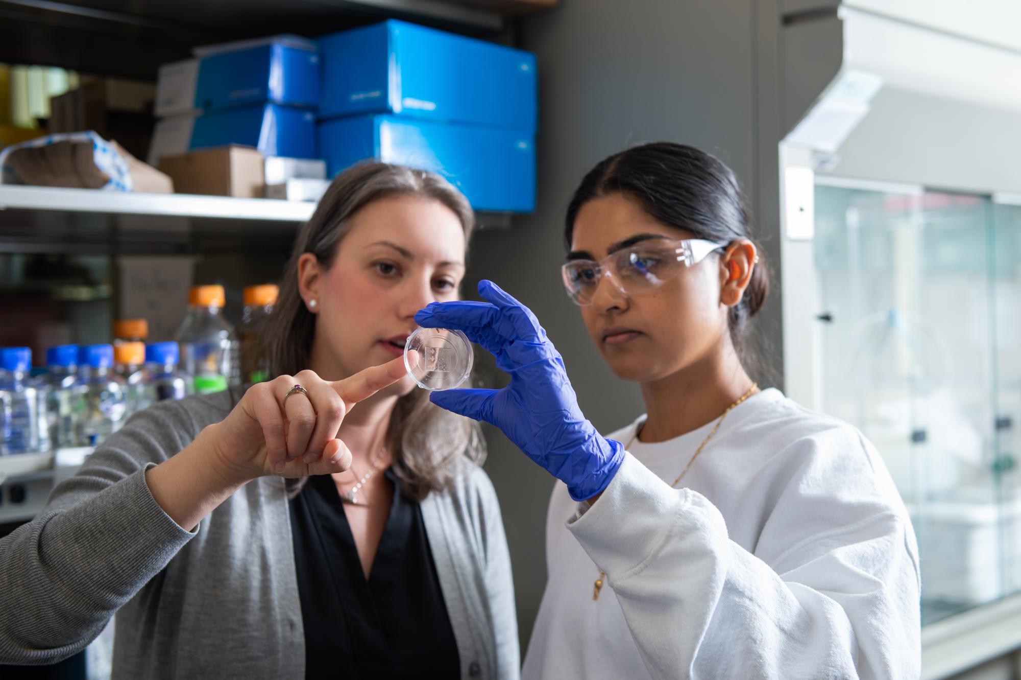 CU Engineering research funding increases to $150 million as part of ...