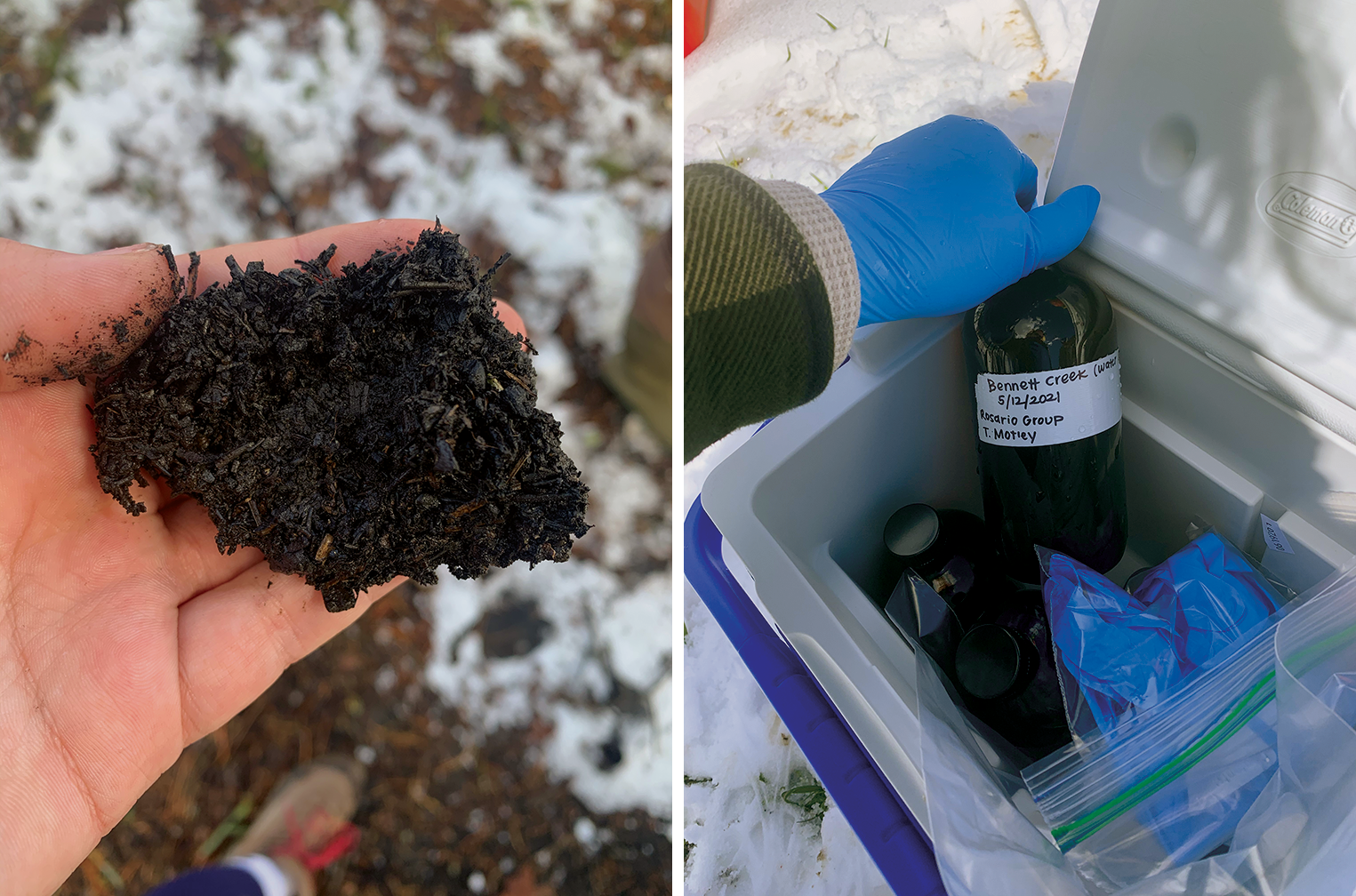 Soil and water samples from Bennett Creek in the Rio Grande National Forest