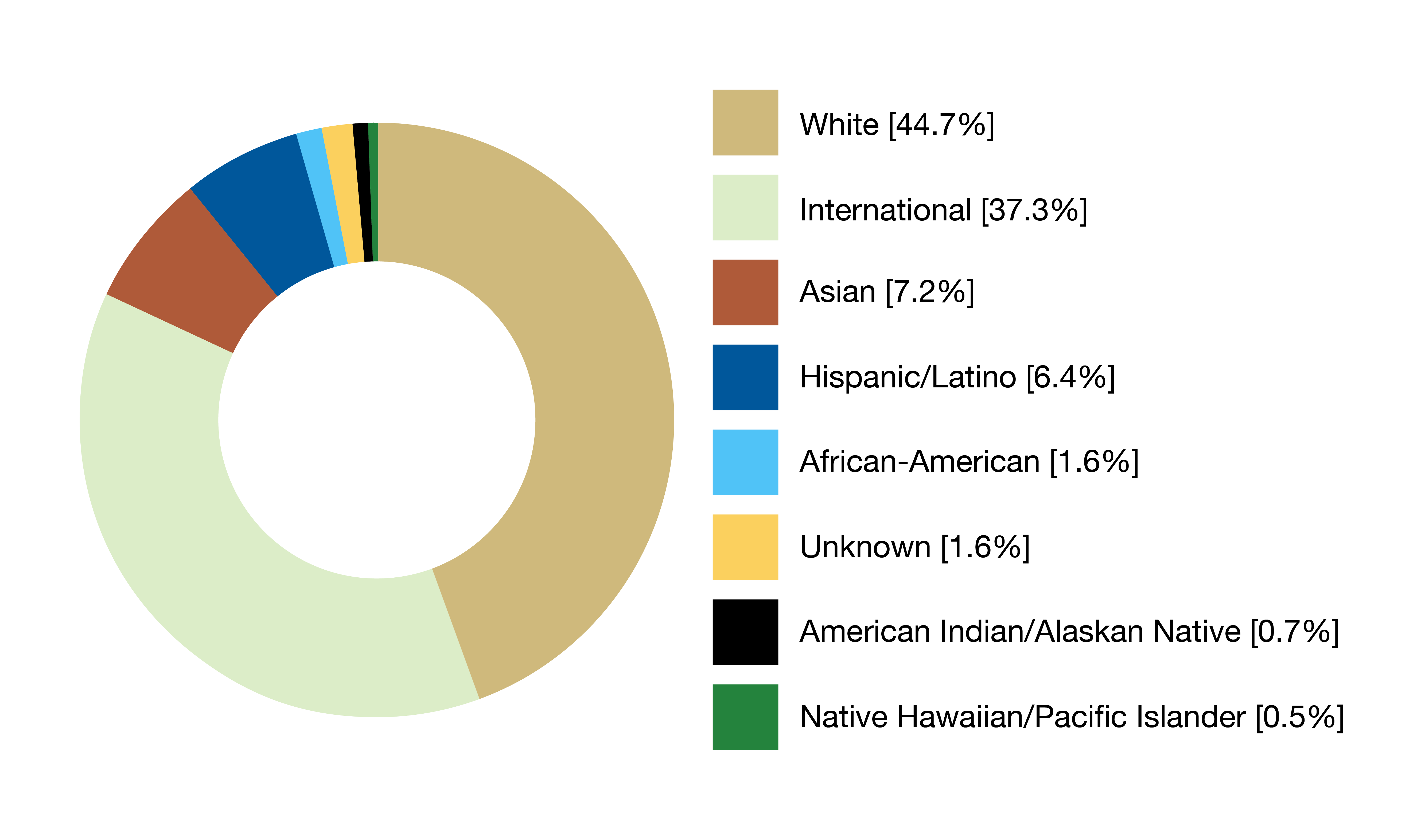 Graduate pie chart 2023